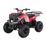 Tao Motors D125 Kids ATVs - Image 2